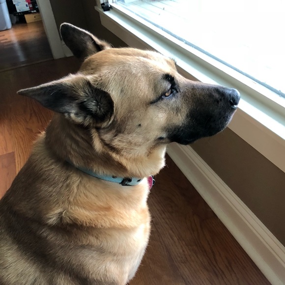 Meet your Posher, Jamie - Picture 1 of 1